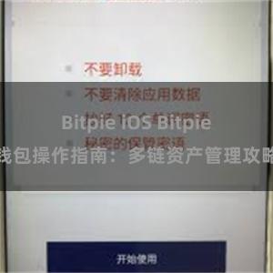 Bitpie iOS Bitpie钱包操作指南：多链资产管理攻略