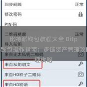 比特派钱包教程大全 Bitpie钱包操作指南：多链资产管理攻略