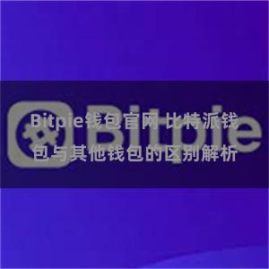 Bitpie钱包官网 比特派钱包与其他钱包的区别解析