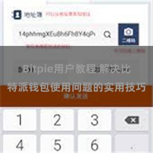 Bitpie用户教程 解决比特派钱包使用问题的实用技巧