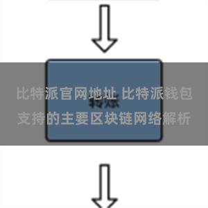 比特派官网地址 比特派钱包支持的主要区块链网络解析