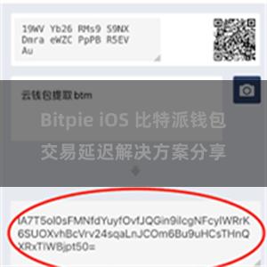 Bitpie iOS 比特派钱包交易延迟解决方案分享