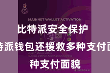 比特派安全保护  比特派钱包还援救多种支付面貌