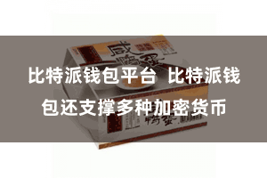 比特派钱包平台  比特派钱包还支撑多种加密货币