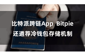 比特派跨链App  Bitpie还遴荐冷钱包存储机制