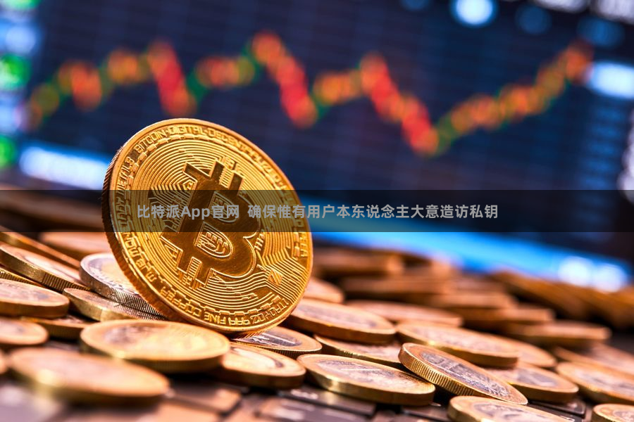 比特派App官网  确保惟有用户本东说念主大意造访私钥